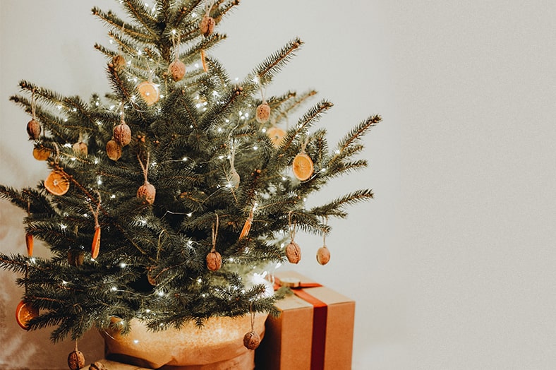 mit Naturmaterialien geschmückter Weihnachtsbaum im Topf, der mit Papier umwickelt ist, daneben Geschenk